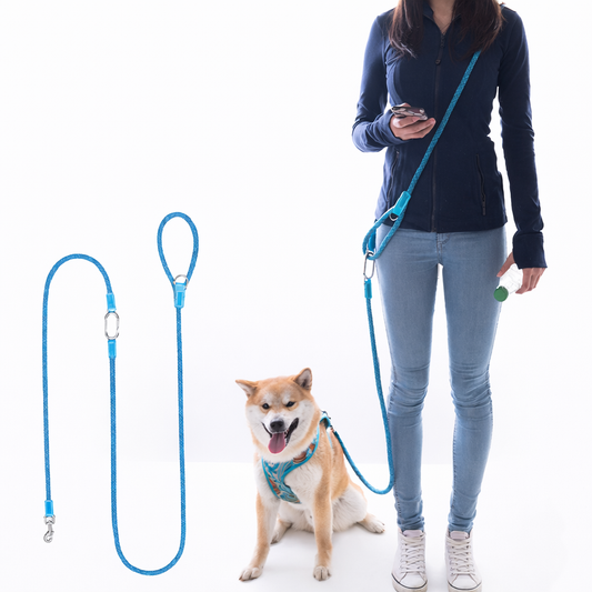 Hands-Free Dog Walking Leash – Adjustable Crossbody & Waist Lead