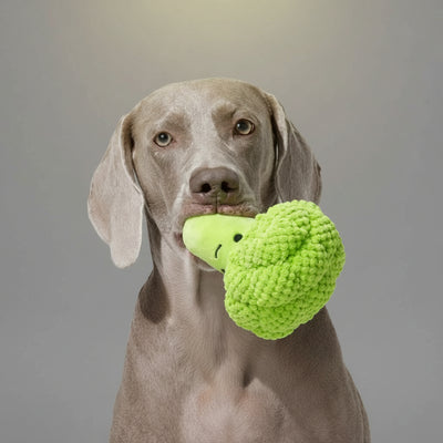 Broccoli & Corn Plush Dog Toy FURRYKU
