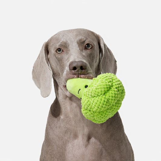 Broccoli & Corn Plush Dog Toy