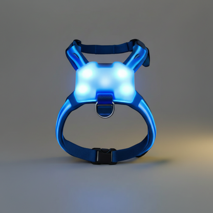 LED Luminous Dog Harness – Anti-Lost & Anti-Car Accident Safety Vest