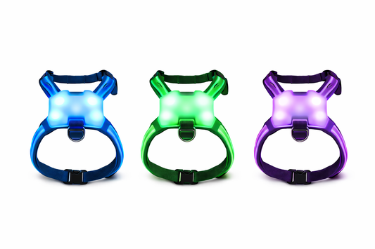 LED Luminous Dog Harness – Anti-Lost & Anti-Car Accident Safety Vest