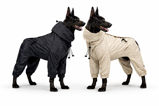Waterproof Four-Leg Dog Raincoat
