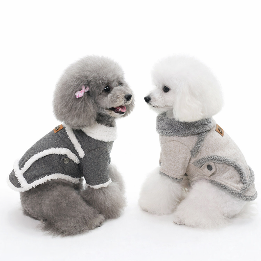 Winter Velvet Dog Jacket