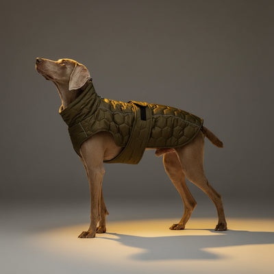 Winter Thickened Dog Jacket for Cold Weather FURRYKU