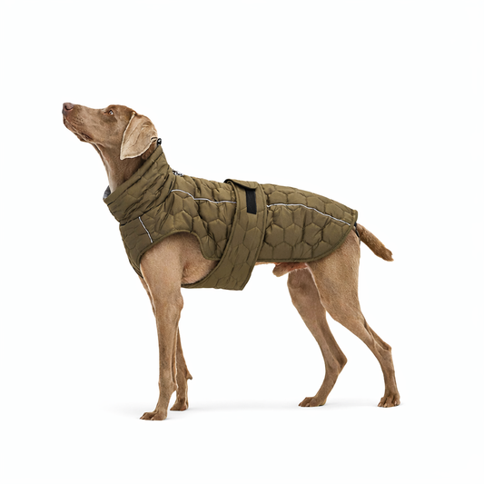 Winter Thickened Dog Jacket for Cold Weather