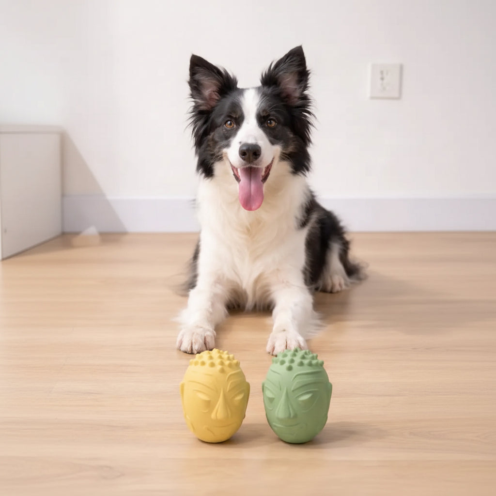 Retro Mask Squeaky Dog Toy FURRYKU
