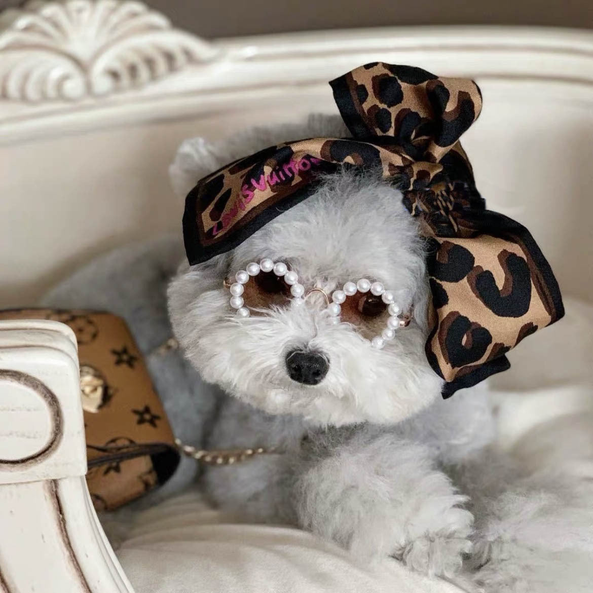 Pet Dog Fashion Pearl Sunglasses – Stylish Shades for Small & Large Dogs 🐾
