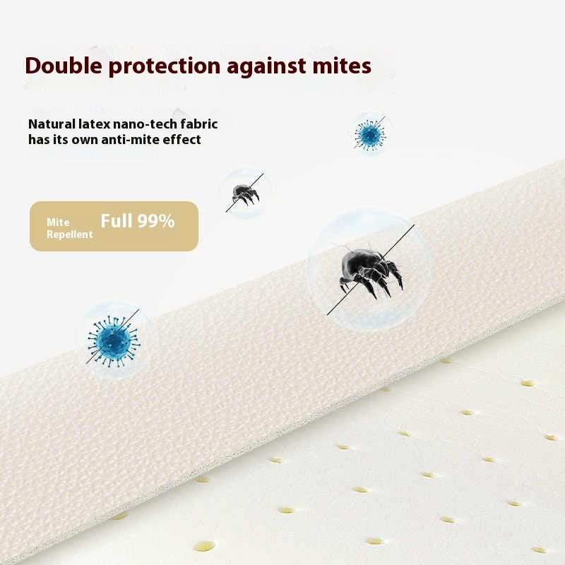 Four Seasons Universal Kennel – Warm, Tear-Resistant & Waterproof Pet Bed 🐾