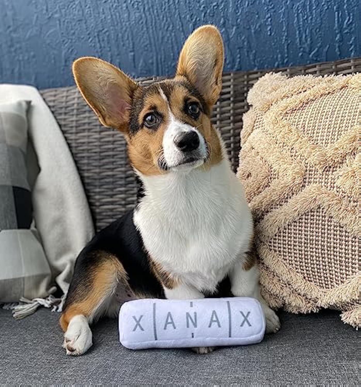 Funny Dog Toy – Parody Plush Squeaky & Crinkle Toy (XANAX Plushform)🐾