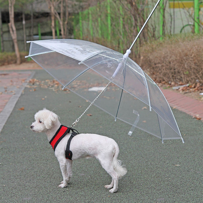 Creative Leash Puppy Raincoat – Transparent Dog Raincoat with Leash 🐾