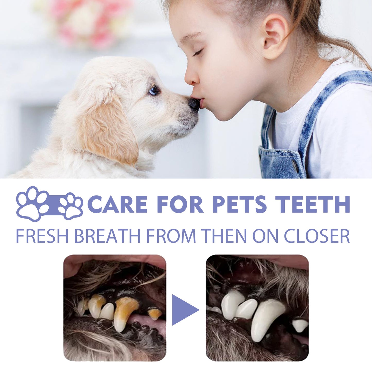 Pet Dog Teeth Cleaning Spray – Remove Tartar & Teeth Stains 🐾
