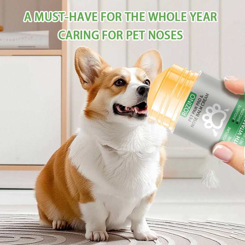 Crème de soin pour les pattes et le nez des animaux – Crème nourrissante parfumée au thé vert 🐾