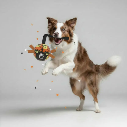 Interactive Dog Football with Grip Tabs - Large Training Soccer Ball for Dogs | Furryku FURRYKU