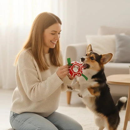 Interactive Dog Football with Grip Tabs - Large Training Soccer Ball for Dogs | Furryku FURRYKU
