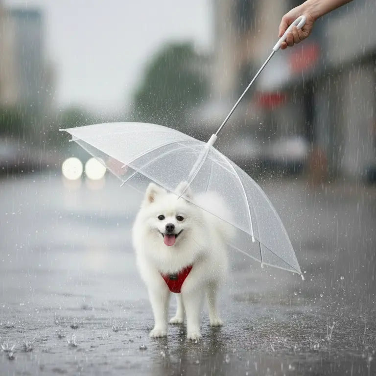 Transparent Dog Umbrella Leash - Waterproof Pet Rain Cover with Built-in Lead - Clear Visibility for Small & Medium Dogs - 77x73cm | Furryku FURRYKU
