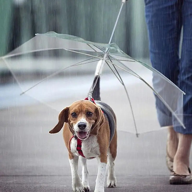 Transparent Dog Umbrella Leash - Waterproof Pet Rain Cover with Built-in Lead - Clear Visibility for Small & Medium Dogs - 77x73cm | Furryku FURRYKU