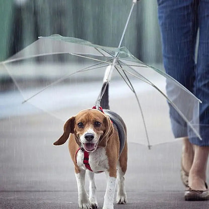 Transparent Dog Umbrella Leash - Waterproof Pet Rain Cover with Built-in Lead - Clear Visibility for Small & Medium Dogs - 77x73cm | Furryku FURRYKU