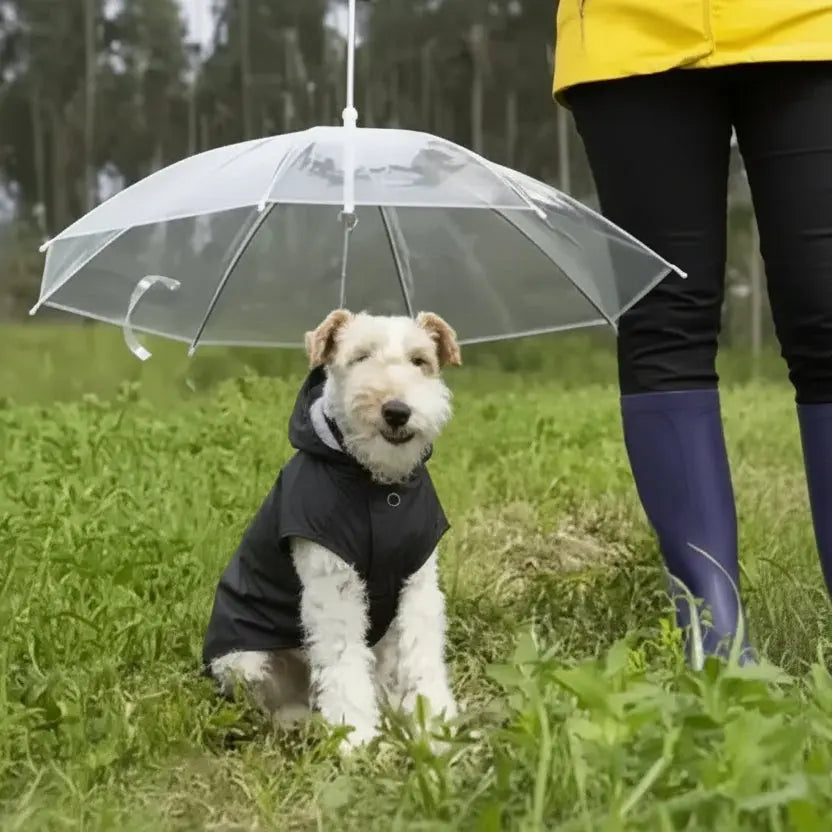 Transparent Dog Umbrella Leash - Waterproof Pet Rain Cover with Built-in Lead - Clear Visibility for Small & Medium Dogs - 77x73cm | Furryku FURRYKU