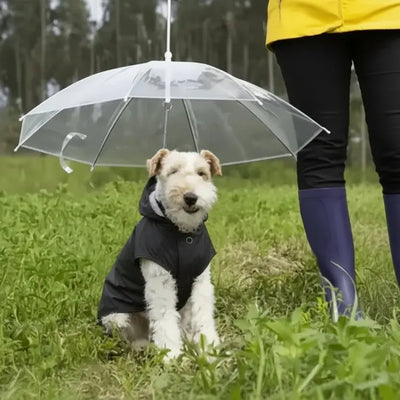 Transparent Dog Umbrella Leash - Waterproof Pet Rain Cover with Built-in Lead - Clear Visibility for Small & Medium Dogs - 77x73cm | Furryku FURRYKU