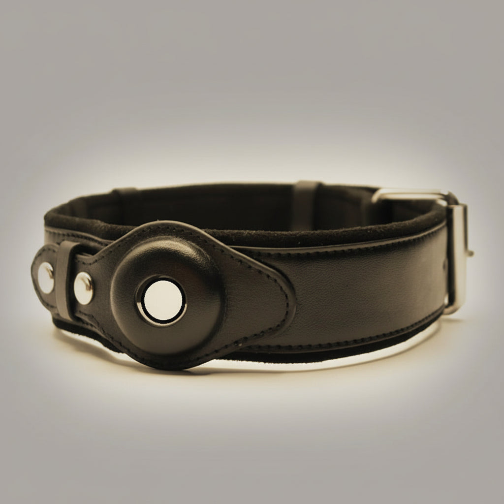 Furryku Genuine Leather Apple AirTag Dog Collar - Luxury Padded GPS Tracker Tracking Pet Collar - Brown, Black, Army Green - Sizes S-L FURRYKU