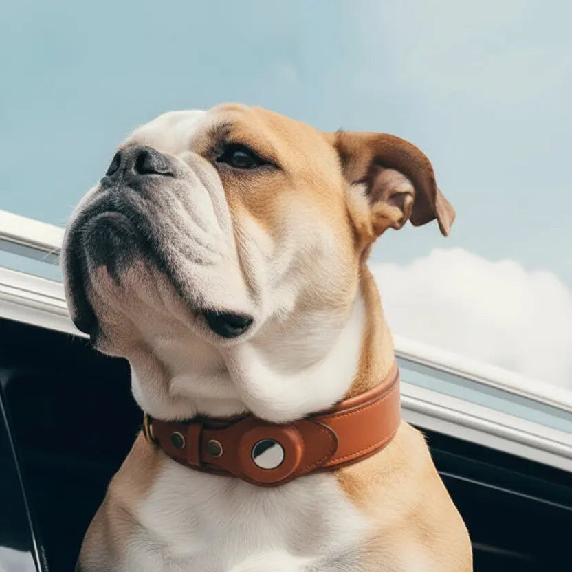 Furryku Genuine Leather Apple AirTag Dog Collar - Luxury Padded GPS Tracker Tracking Pet Collar - Brown, Black, Army Green - Sizes S-L FURRYKU