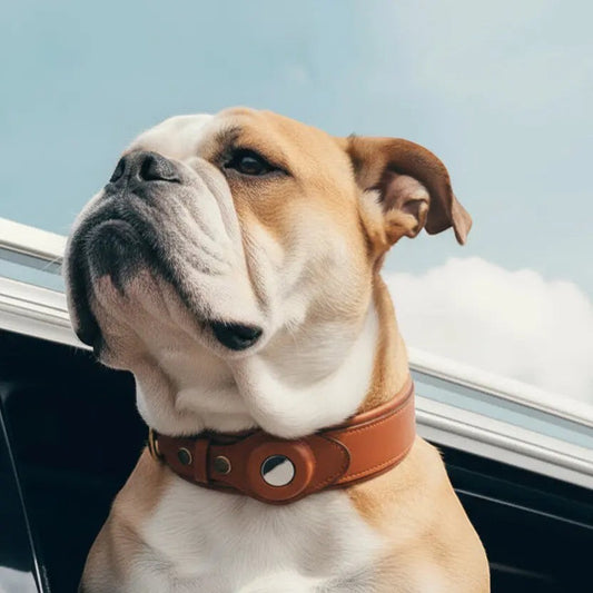 Furryku Genuine Leather Apple AirTag Dog Collar - Luxury Padded GPS Tracker Tracking Pet Collar - Brown, Black, Army Green - Sizes S-L FURRYKU