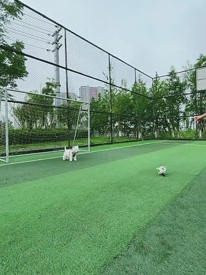 Interactive Dog Football with Grip Tabs - Large Training Soccer Ball for Dogs | Furryku