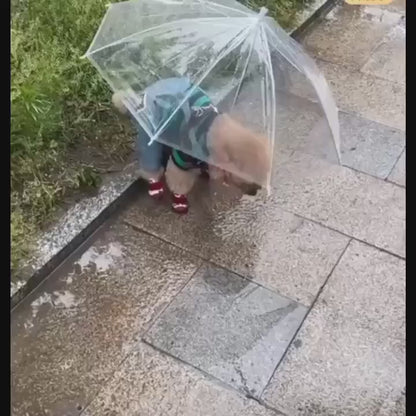Transparent Dog Umbrella Leash - Waterproof Pet Rain Cover with Built-in Lead - Clear Visibility for Small & Medium Dogs - 77x73cm | Furryku
