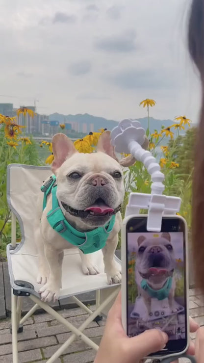Dog Selfie Camera Treat Clip