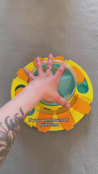 IQ Training Puzzle Feeder for Dogs