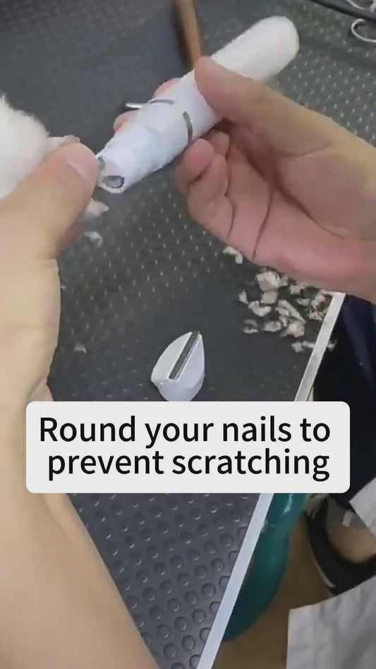 4-in-1 Pet Shaving Clipper – Electric Dog Grooming Tool