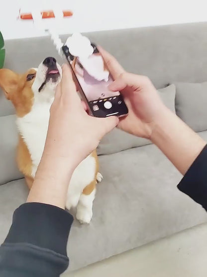 Dog Selfie Camera Treat Clip