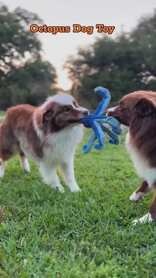 Tough Octopus Toy — More Play, Less Boredom | FURRYKU